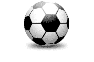 Мяч чемпионата мира по футболу 2010 года